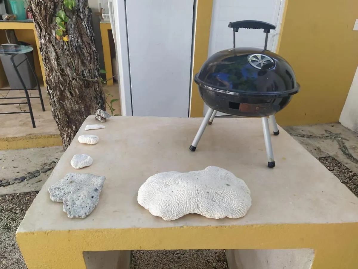 Pensjonat Hotel Bluestar Tulum